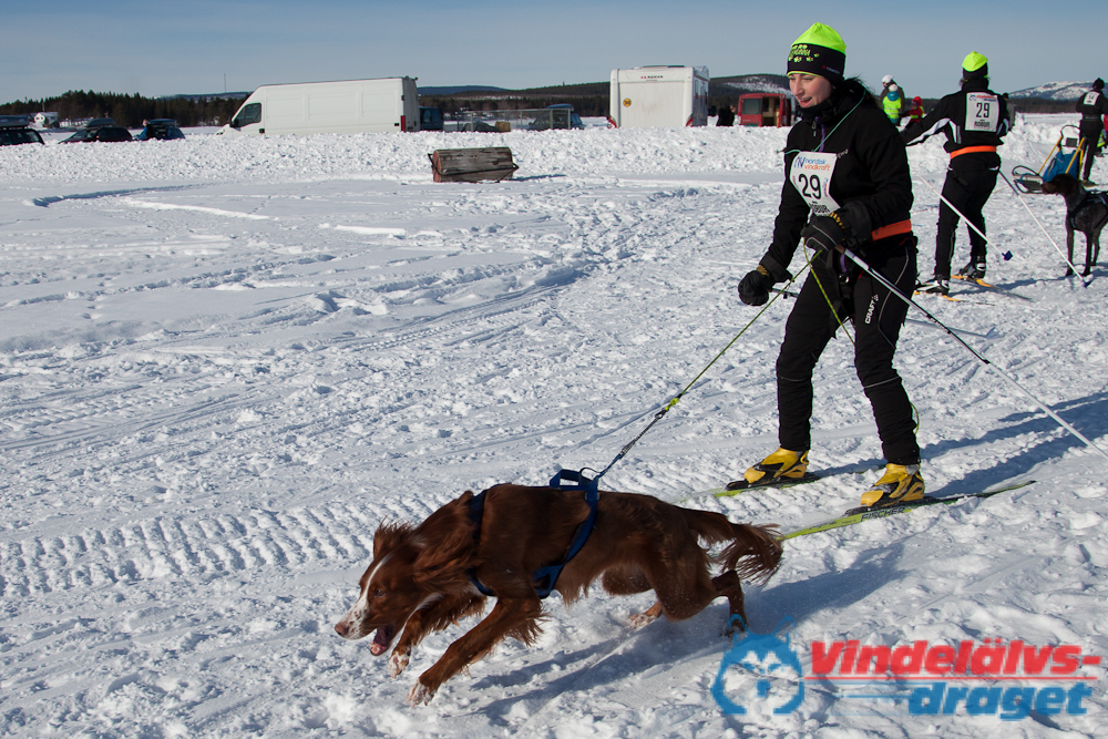 Joakim_B_2013-03-15_11-39-41.jpg
