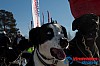 Joakim_B_2013-03-15_10-01-46.jpg