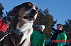 Joakim_B_2013-03-15_10-02-34.jpg