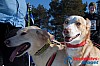 Joakim_B_2013-03-15_10-08-12.jpg