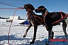 Joakim_B_2013-03-15_11-00-33.jpg