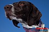 Joakim_B_2013-03-15_11-01-43.jpg