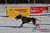 Joakim_B_2013-03-15_14-57-59.jpg