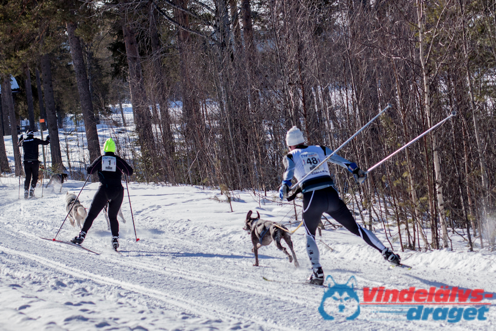 Cristoffer_H_2013-03-16_11-14-11.jpg