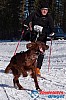 Cristoffer_H_2013-03-16_11-19-39.jpg