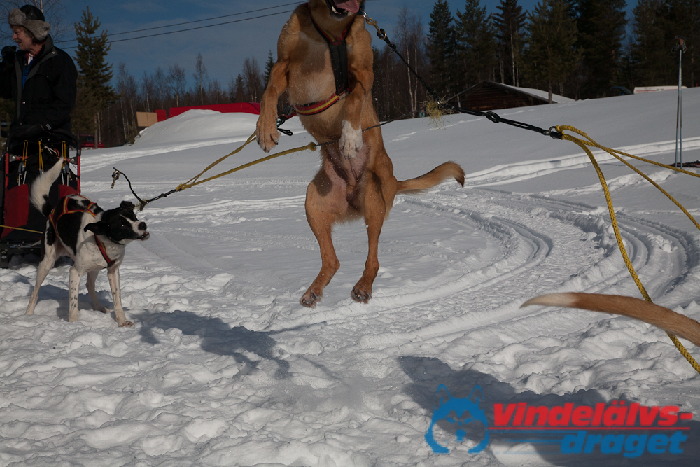 Joakim_B_2013-03-16_11-39-30.jpg