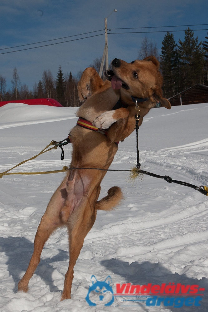 Joakim_B_2013-03-16_11-39-32.jpg
