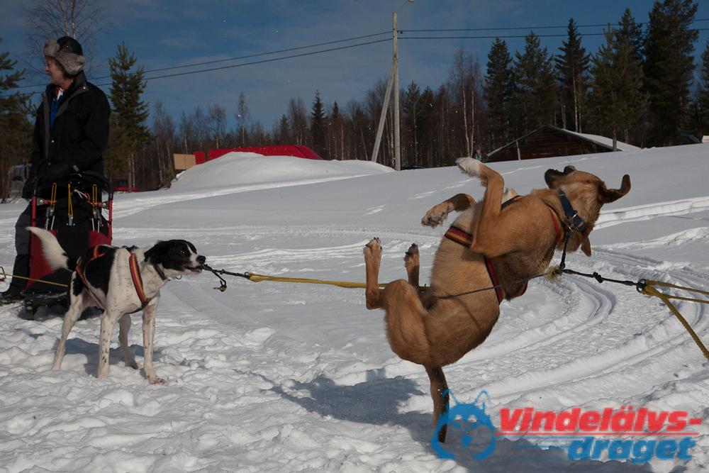Joakim_B_2013-03-16_11-39-33.jpg