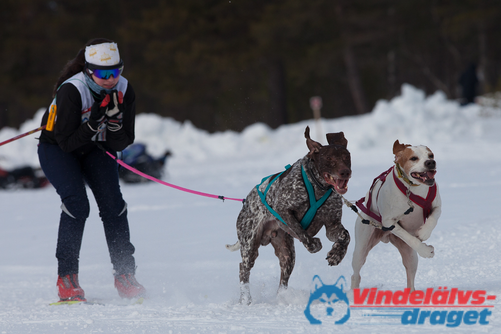 Joakim_B_2013-03-16_12-14-44.jpg