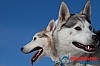 Joakim_B_2013-03-16_10-02-24.jpg