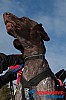 Joakim_B_2013-03-16_11-35-44.jpg
