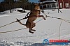 Joakim_B_2013-03-16_11-38-21.jpg