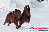Joakim_B_2013-03-16_12-18-35.jpg