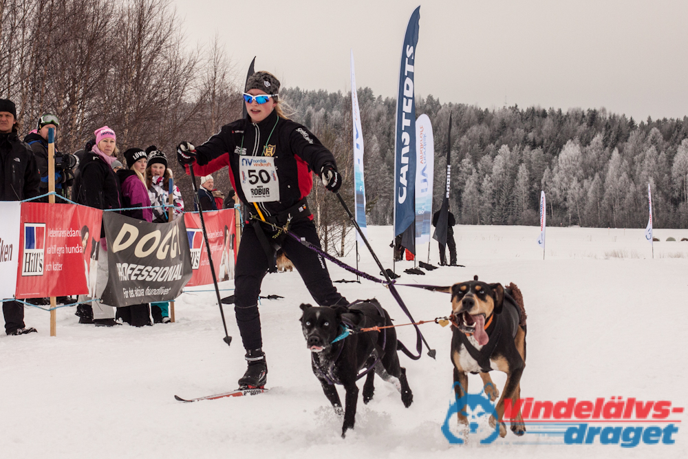 Cristoffer_H_2013-03-17_12-47-23.jpg