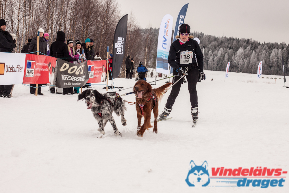 Cristoffer_H_2013-03-17_12-54-18.jpg