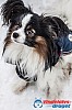 Cristoffer_H_2013-03-17_12-23-02.jpg