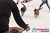 Cristoffer_H_2013-03-17_13-22-29.jpg