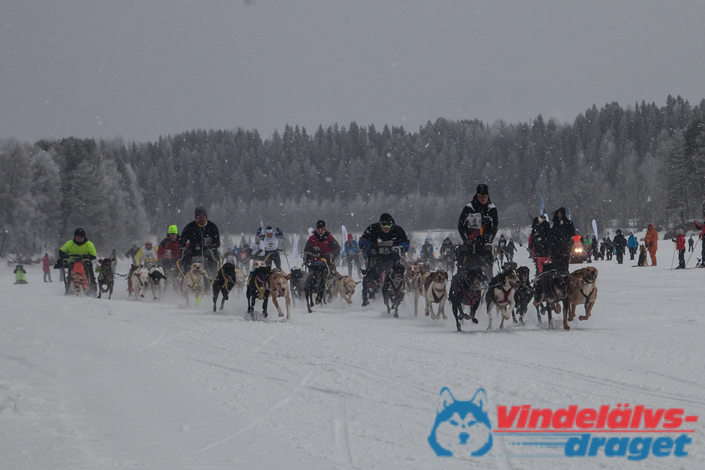 Joakim_B_2013-03-17_09-11-48.jpg