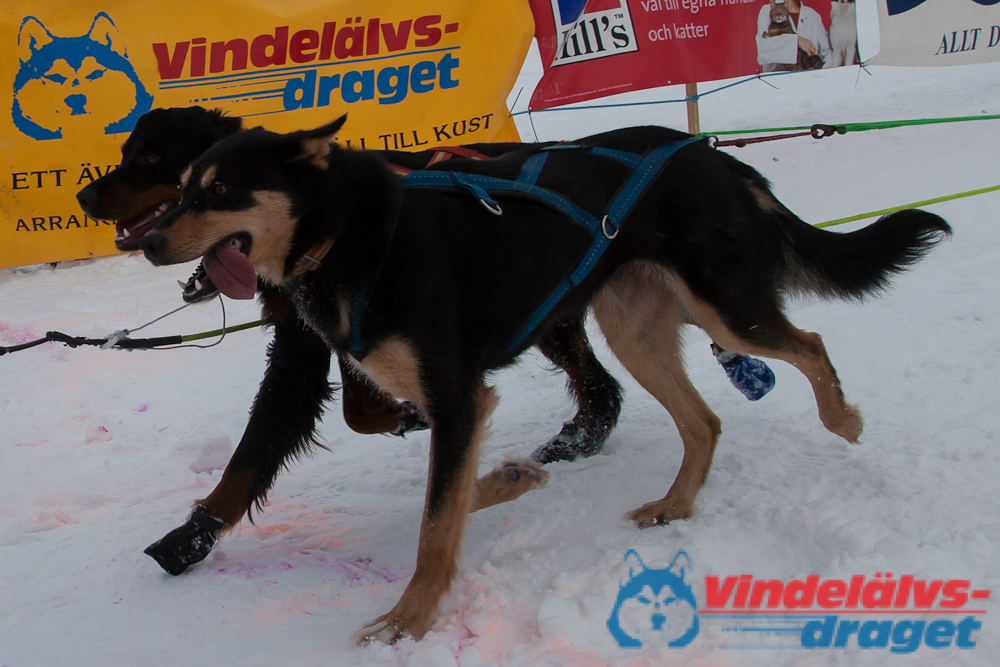 Joakim_B_2013-03-17_12-55-14.jpg