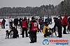Joakim_B_2013-03-17_09-01-59.jpg