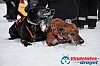 Joakim_B_2013-03-17_11-32-00.jpg