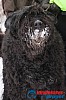 Joakim_B_2013-03-17_12-26-30.jpg