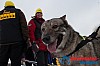Joakim_B_2013-03-17_12-51-59.jpg