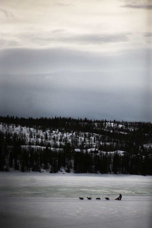 DPP_7707v.jpg