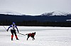 DPP_7657v.jpg