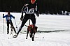 DPP_7663v.jpg