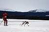 DPP_7664v.jpg