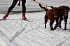 DPP_7669.jpg