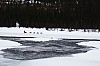 DPP_7683v.jpg