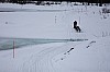 DPP_7684v.jpg