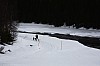 DPP_7685v.jpg