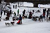 DPP_7690v.jpg
