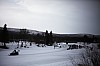 DPP_7695v.jpg