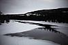 DPP_7697v.jpg
