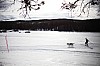 DPP_7698v.jpg
