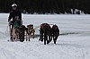 DPP_7701v.jpg