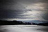 DPP_7706v.jpg