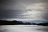 DPP_7708v.jpg