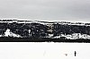 DPP_7713v.jpg