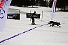 DPP_7714v.jpg