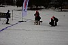 DPP_7717v.jpg
