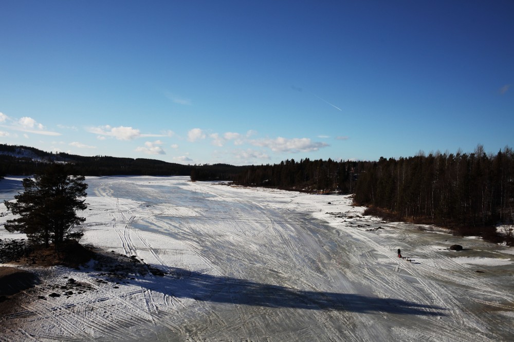 DPP_7761v.jpg