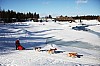 DPP_7728v.jpg