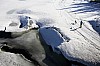 DPP_7741v.jpg