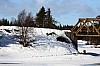DPP_7770v.jpg