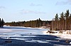 DPP_7778v.jpg